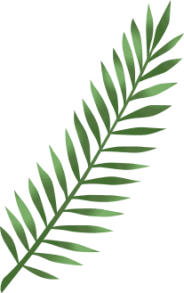 Elements summer sale banner NK5W2VA leaf 3.png