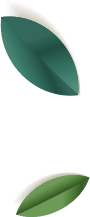Elements summer sale banner NK5W2VA leafs.png